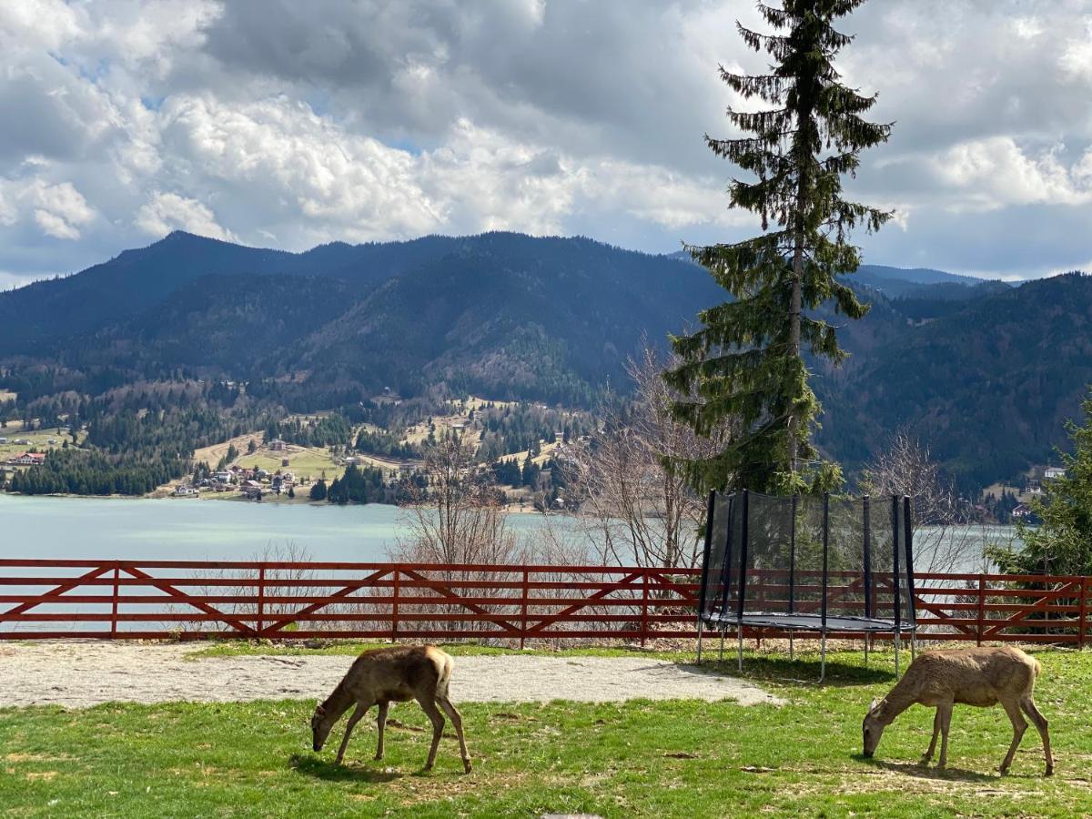 Pensiunea Farmecul Naturii Si Casute Individuale De Inchiriat Colibita Exterior photo